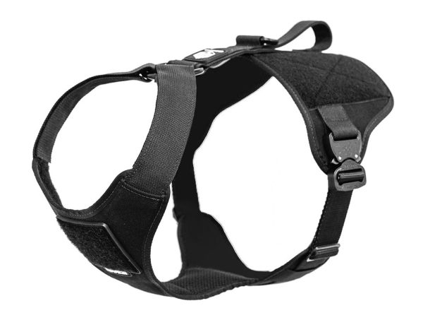 Extreme Harness with Metal Buckles Online Sale